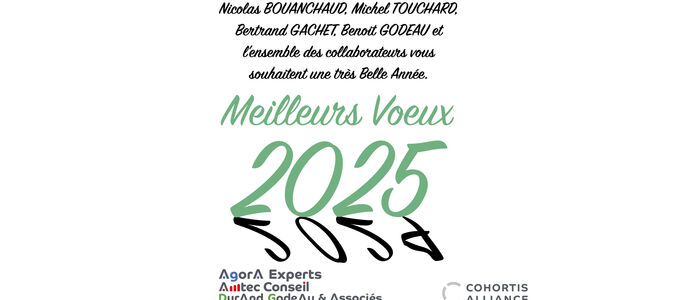 Bonne année 2025